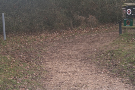 [IMG_0398.JPG]