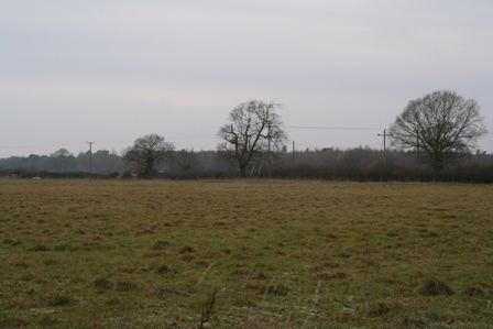 [IMG_0401.JPG]