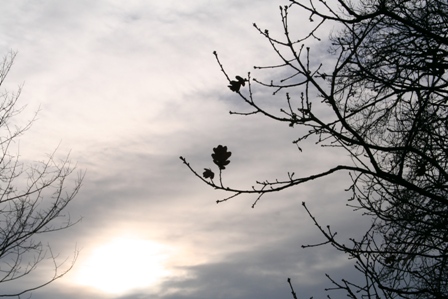[IMG_0410.JPG]