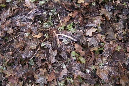 [IMG_0424.JPG]
