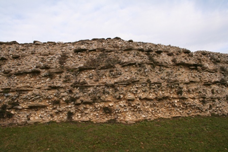 [IMG_0428.JPG]