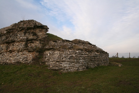 [IMG_0429.JPG]