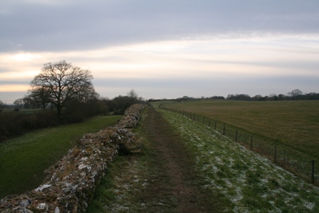 [IMG_0441.JPG]