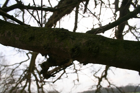 [IMG_0443.JPG]