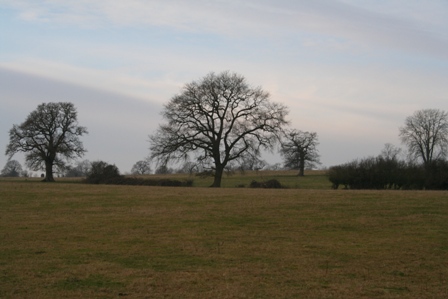 [IMG_0445.JPG]