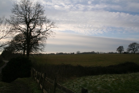 [IMG_0451.JPG]