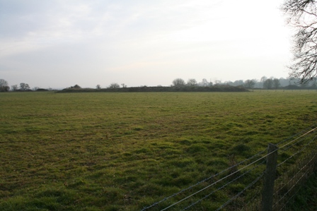 [IMG_0460.JPG]