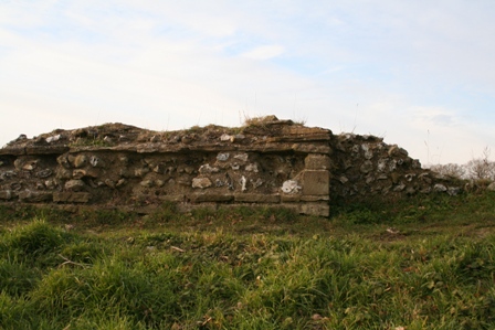 [IMG_0461.JPG]