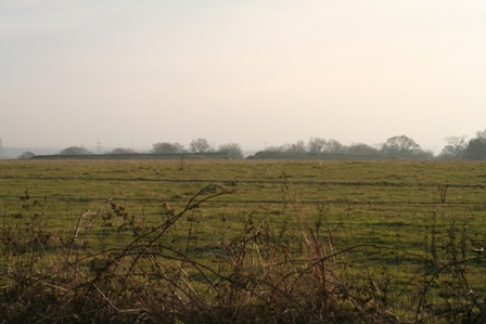 [IMG_0462.JPG]