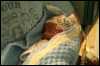 [060513 Charlie 045]