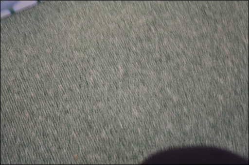 [Photo number 025.jpg]